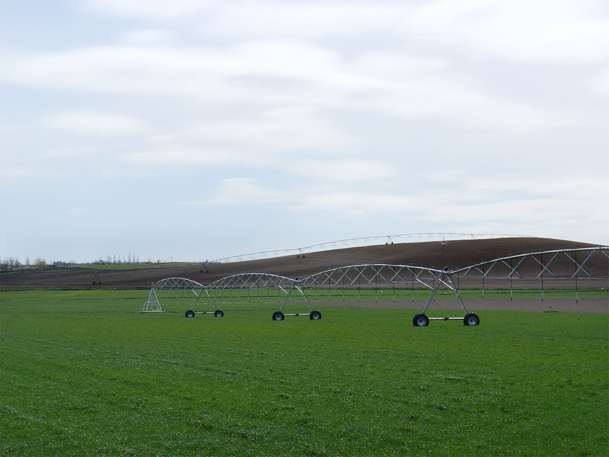 Pivot central